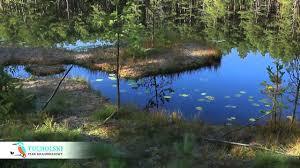 Tucholski Park Krajobrazowy